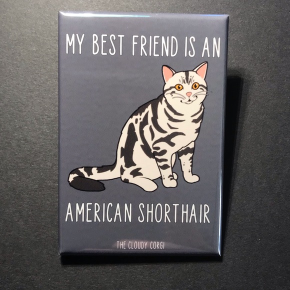 American Shorthair Cat Magnet Handmade Kitty Decor - Picture 3 of 8